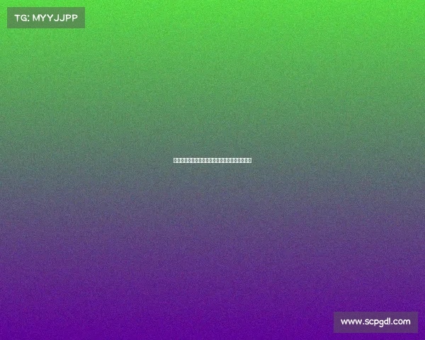 曼城前锋格拉利什将租借加盟埃弗顿转会消息曝光