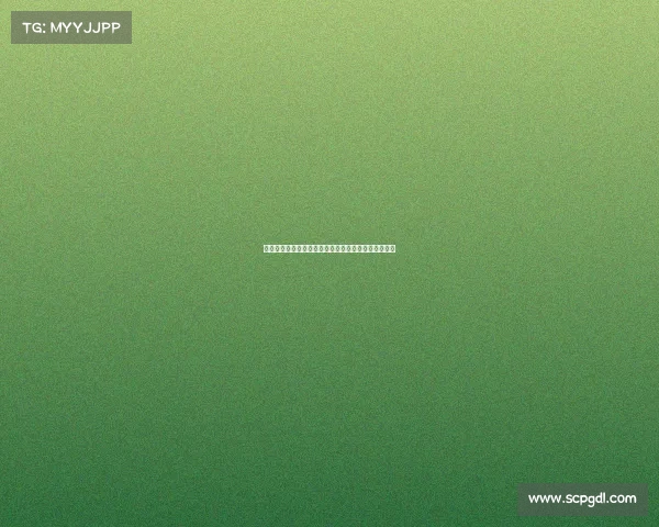 那不勒斯放弃米雷蒂交易重启穆萨谈判寻求新中场补强