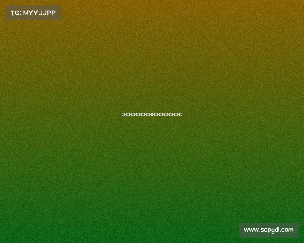 法尔克辟谣:拜仁今夏无意引进雅克松计划另寻新目标