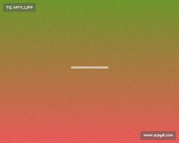 法甲女足崛起之路：推动女性足球发展与挑战的全新篇章